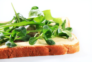Slice of bread with fresh salad greens