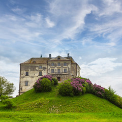 Fototapeta na wymiar old castle on a green hill