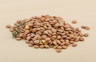 Dry Lentil