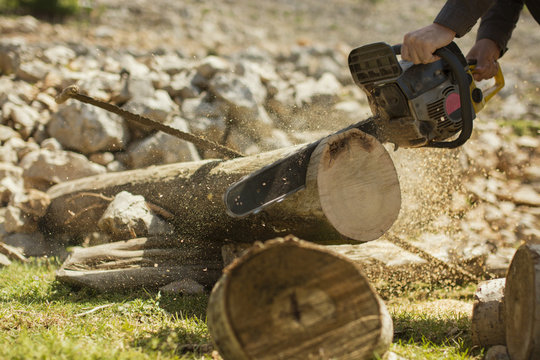 Man Cutting wood with saw