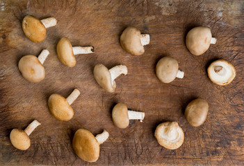 Fototapeta na wymiar Fresh Shiitake Mushroom on wooden background