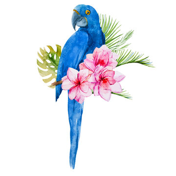 Nice watercolor blue parrots