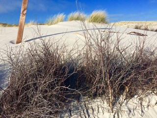 Obraz premium sand dune