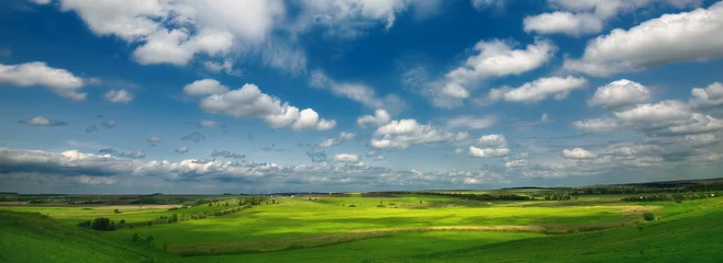Fotobehang  meadows and fields © Vitaly Krivosheev