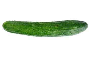 Fresh cucumbers are isolated on a white background