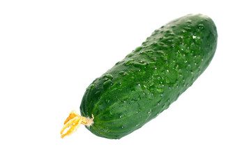 Fresh cucumbers are isolated on a white background