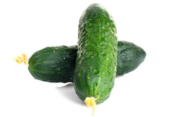 Fresh cucumbers are isolated on a white background