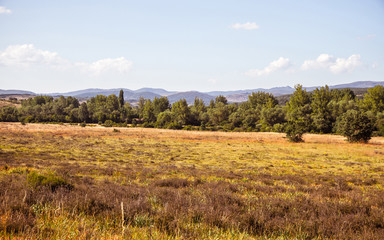 Vista general de paisaje de campo montañoso en verano