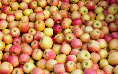  Manzanas a granel en el  mercado