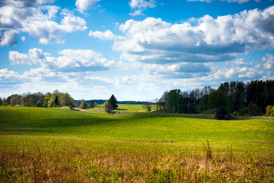 Field of green grass, trees and clouds over blue sky