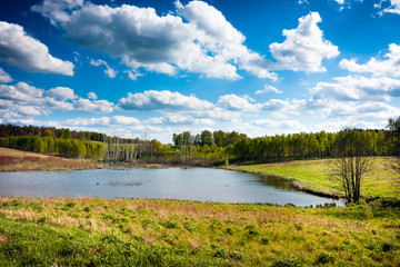 Lake in forest, pure clean Masurian landscape. Poland
