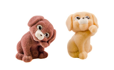 Miniature brown and beige fluffy puppies, close up, isolated