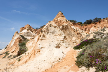 flowers on the Cliffs at Praia da Falesia