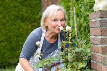 Seniorin riecht an Rosen