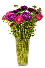 Vivid colored Callistephus chinensis flowers, transparent vase