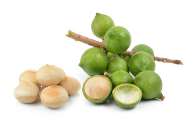 fresh macadamia nut on white background