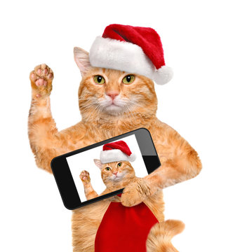 Cat  in red Christmas hat taking a selfie together with a smartphone.
