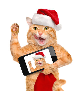 Cat  in red Christmas hat taking a selfie together with a smartphone.