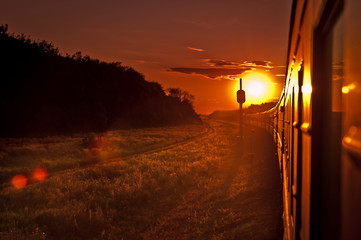 Train on sunset