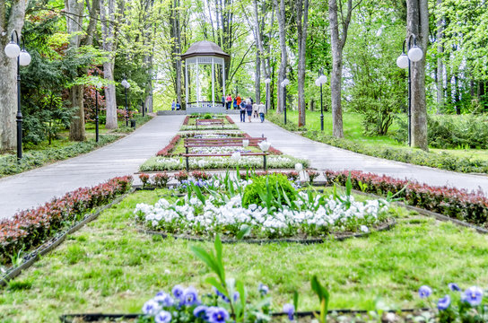 Polanica Zdr&oacute;j, Park