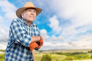 Gardening, Senior Adult, Men.
