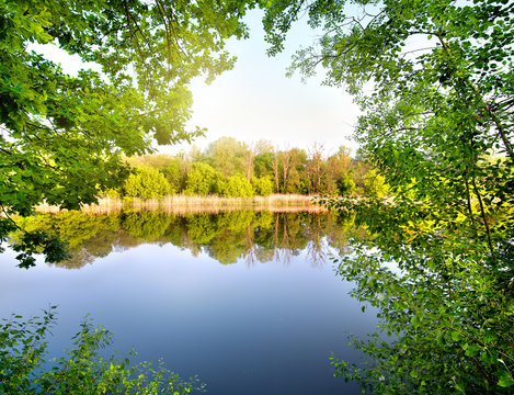 Green Trees By The River