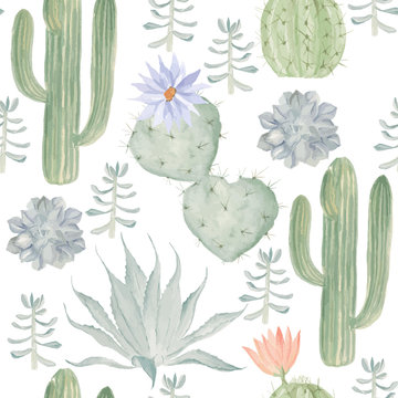 Seamless watercolor pattern of cactus. May be used in the packag