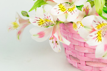 Bouquet of alstroemeria  in wicker basket 