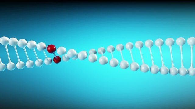 DNA molecule loopable animation