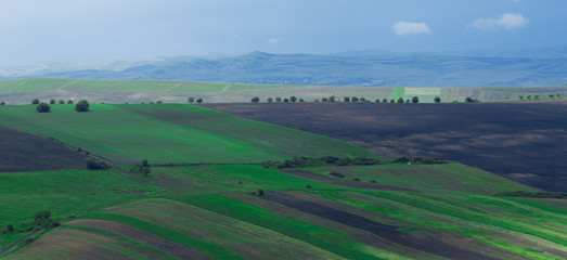 Agricultural landscape in Transylvania, Romania