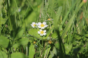 весенний день
