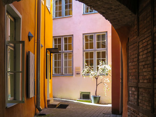 Windows and door, court yard in the Old Town, Tallinn, Estonia