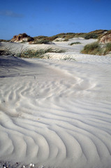 Sanddünen bei Fanoe