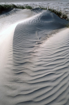 Sandd&uuml;nen bei Fanoe