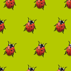 Fototapeta premium Coccinelle Papier Peint