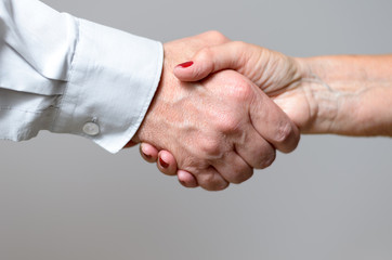 Zwei Erwachsene geben sich die Hand