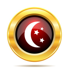 Moon icon