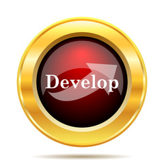 Develop icon