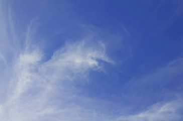 White cloud in the blue sky