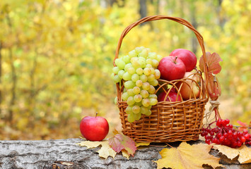 Fresh fruit apples maple autumn harvest