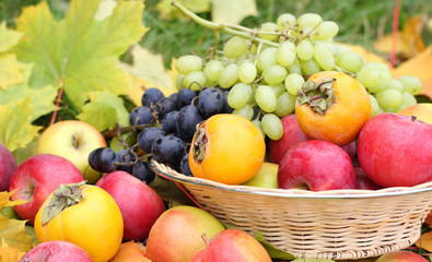 Naklejka na ściany i meble Fresh fruit apples maple autumn harvest