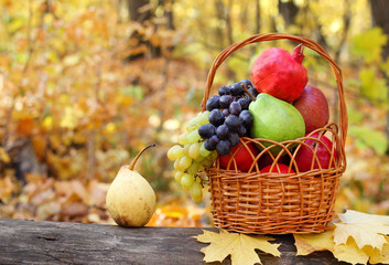 Fresh fruit apples maple autumn harvest