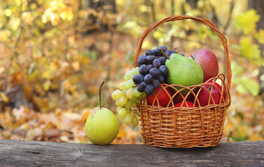Fresh fruit apples maple autumn harvest