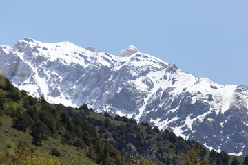 the snowy peaks of the Tien Shan