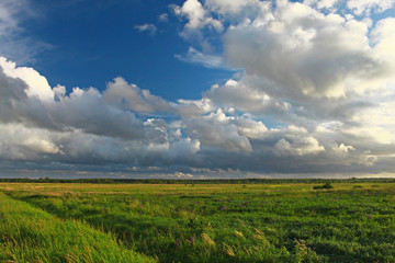 Obraz premium Green field with windy clous and blue sky