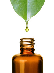 Organic bio alternative medicine.Essemtial oil.Skin care.isolated on white - 84399553