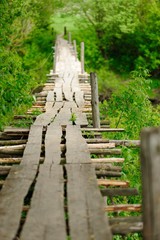 Narrow wooden bridge in spring
