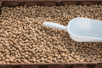 green lentils and plastic white spoon in brown bowl