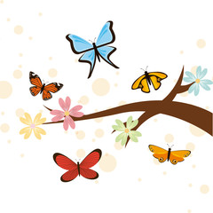 butterflies card