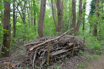 Wood wall made of branches in forest